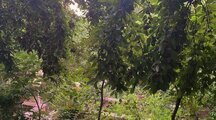 ویلا تکخواب در آتشگاه