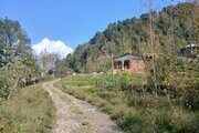 ویلا تکخواب جنگلی آریا در شیرگاه