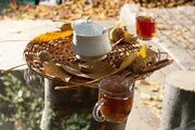 سوئیت باغ افق در فشم