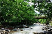 واحد در طبقه دوم ویلای لب رودخونه دردل جنگل اسالم