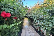 عمارت ویلا باغ استخردار سه خواب سناتور در دزفول
