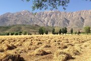 واحد ویلایی دو طبقه دوخواب در مجتمع تالاب چغاخور در بروجن