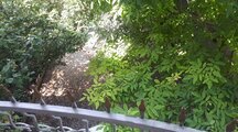خانه ویلایی دو خوابه در چالوس