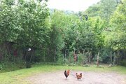 ویلای دو خواب در قلعه رودخان