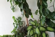 آپارتمان مبله سه خواب پاکباز در سی سخت