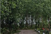 کلبه سوئیسی تکخواب مبله میجان 1 در رشت