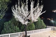 خانه ویلایی در سوادکوه