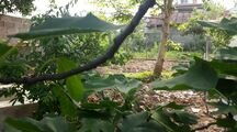 خانه ویلایی دو خواب شیک و نوساز در ماسال