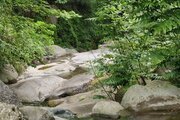 ویلا دو خواب جنگلی باغ صفارود جاده جواهرده | نمای رودخونه اختصاصی اقامتگاه 