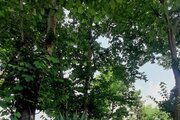 ویلا دوبلکس در ماسال