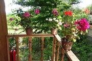 کلبه چوبی دنیا در ماسال