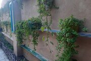 سوئیت ویلا شماره 1 در گرگان
