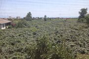 واحد دو خواب در طبقه همکف ویلا لیسار