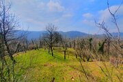 کلبه دوبلکس تکخواب در سوادکوه