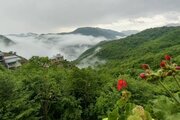 آپارتمان مبله دوخواب کوهستانی 1 در علی آباد کتول