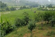 کلبه باغ وَنوشِه در روستای سیولیم بابل