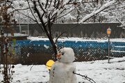 آپارتمان مبله دوخواب جکوزی دار جنگلی السای در طرقبه