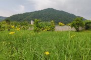 ویلا باغ مبله دو خواب در کتالم و سادات شهر