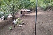 ویلا مبله تکخواب در تالش