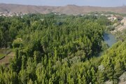 آپارتمان تکخواب مبله سپهر و سهیل 2 در باغ بهادران