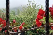 واحد مبله دوخواب طبقه همکف ویلا ابریشم در اسالم
