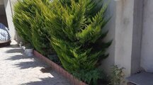آپارتمان مبله دوخواب در بندرانزلی