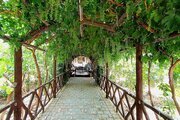 باغ ویلا تکخواب دربست در فین کاشان