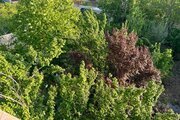 ویلا دوبلکس سه خواب مبله استخردار در چهارباغ