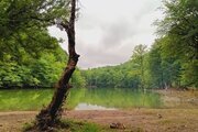 آپارتمان مبله تک خواب در ساری