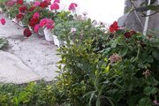 واحد طبقه همکف ویلا در تالش