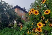 واحد مبله دو خواب پارسا در اقامتگاه بومگردی  ماسال