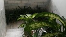 آپارتمان مبله یک خواب در شمشاد یزد