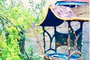 ویلا تکخواب مبله سبزمان در ماسال