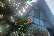 کلبه سوئیسی مبله دوخواب سعادتی در اسالم