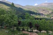 ویلا تکخواب آزالیا در مجتمع اقامتی بام جواهرده