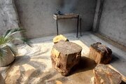 کلبه سوئیسی دوخواب الماس شمال در شیرگاه