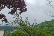 ویلا دوخواب جنگلی دایان در رامسر