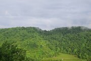 ویلا دوبلکس تک خواب سرای عشق در شیرگاه
