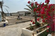 اتاق باغ vip در بومگردی قشم