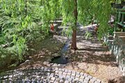 سوئیت کلبه برفی در دربندسر