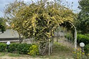 واحد دو خواب در طبقه اول باغ ویلای مهرگان گلوگاه