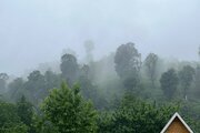 کلبه سوئیسی تکخواب جکوزی دار آیهان در ماسال | طبیعت بکر و زیبای کلبه