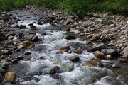 واحد تکخواب مبله در طبقه همکف ویلا جنگلی رحیم آباد