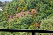 واحد دوبلکس دوخواب در طبقه دوم ویلا جنگلی گیسوم در بهشهر