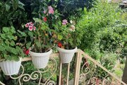 واحد دوخواب طبقه اول ویلا بهار نارنج در املش