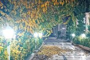 ویلا استخردار دوخواب لوکس خوشنام در فردیس