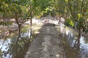 ویلا دو خواب استخردار در چهارباغ