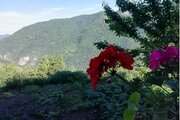 ویلا سنتی جنگلی در تالش