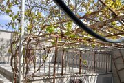 ویلا دوخواب مبله گلستان در سمیرم