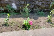 خانه ویلایی دوخواب مبله کلبه سبز 1 در بندرانزلی